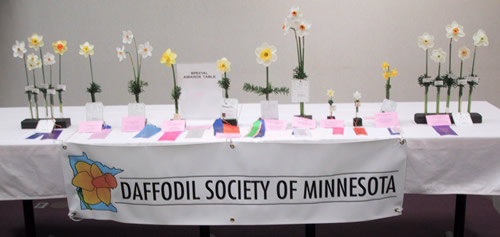 2009 Awards Table