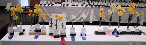 2009 MN Awards Table